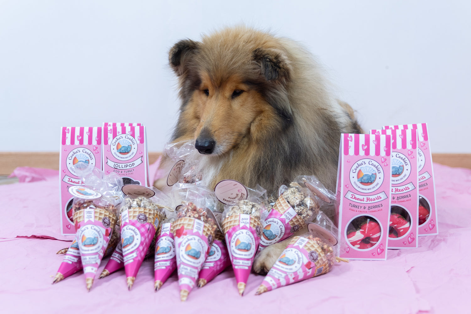 TOP 10 friandises naturelles pour chien