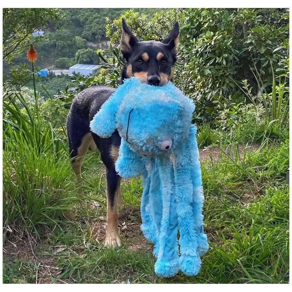 Peluches