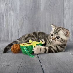 Jouets pour chat