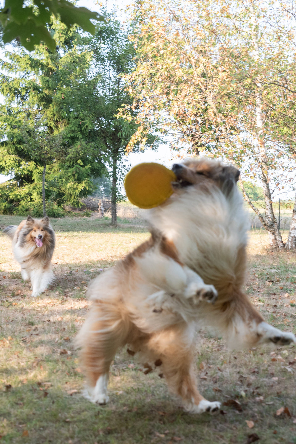 Jouets