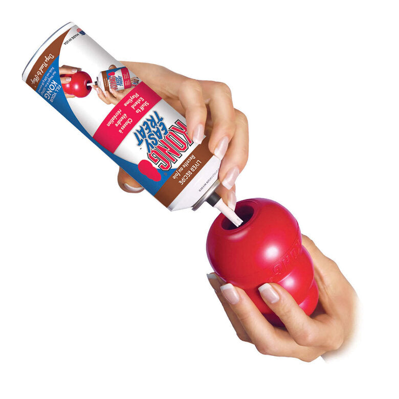 KONG EASY TREAT