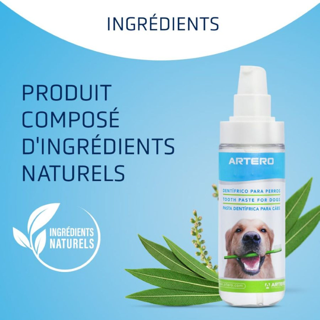 Dentix Gel Dentifrice