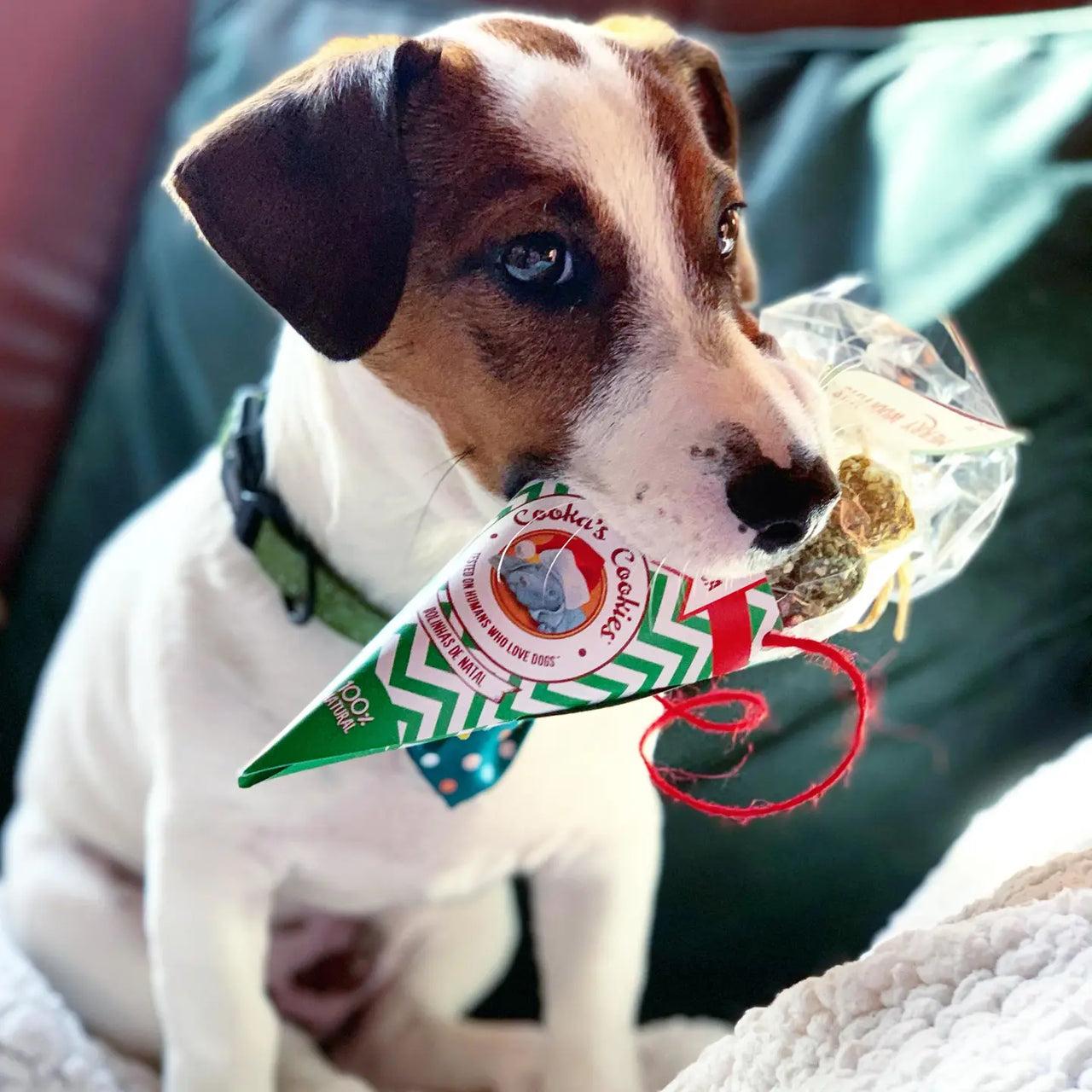 Boules de Noël - Boeuf -