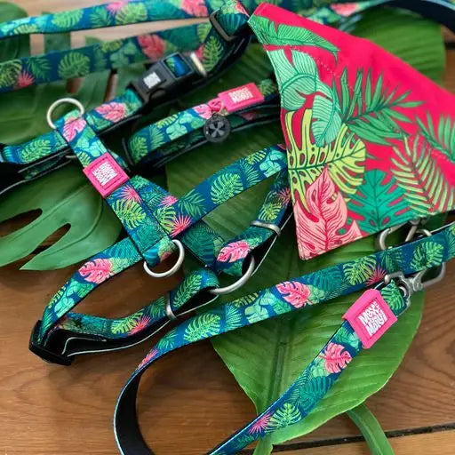 Laisse Max & Molly Tropical