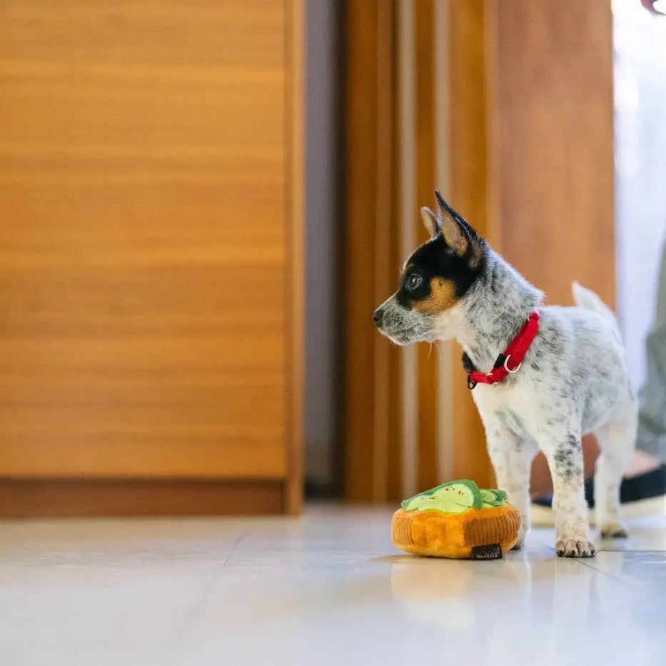 Jouet Barking Brunch Toast Avo-doggo de