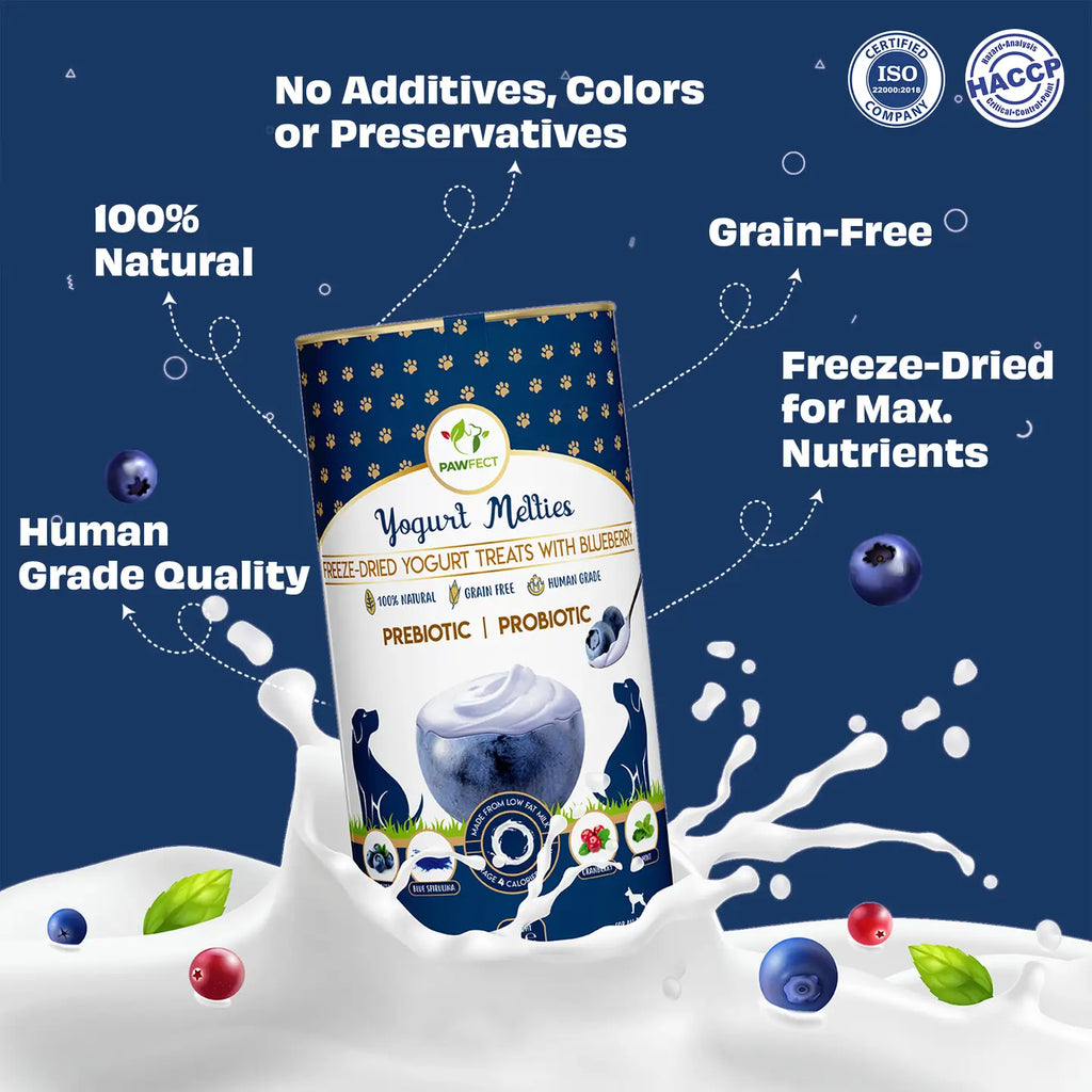 Friandises lyophilisés Yogurt Melties avec avec myrtille 🫐