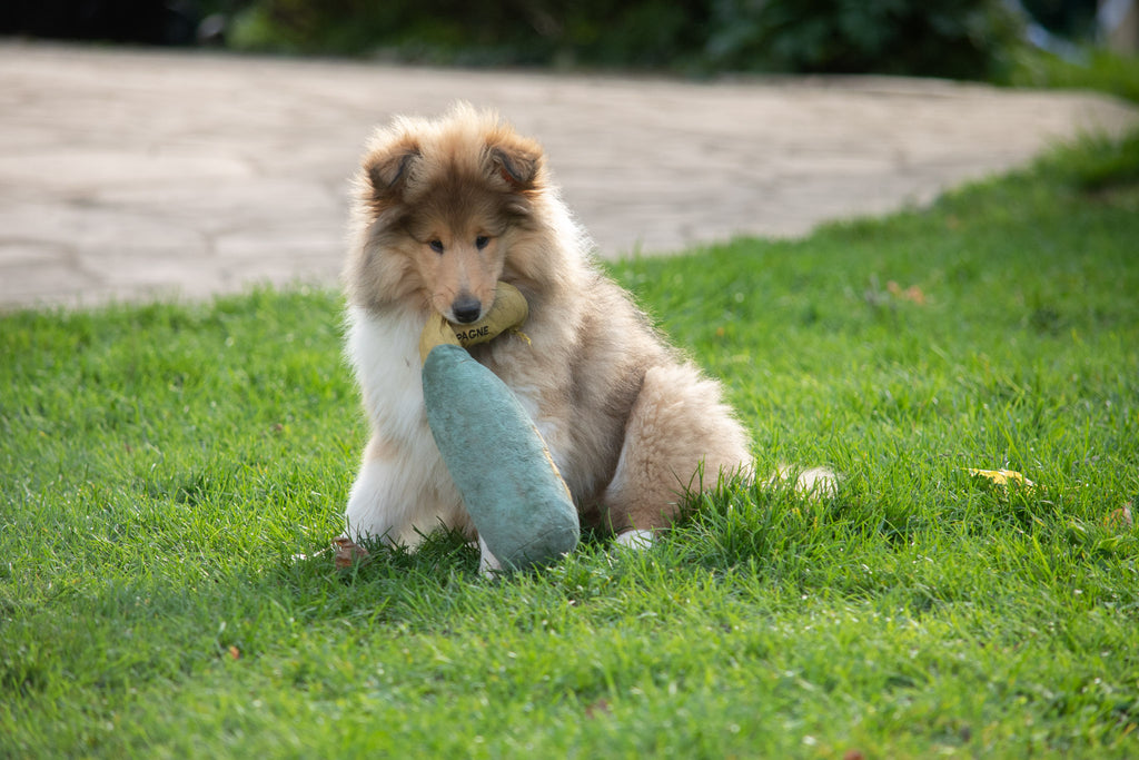 Peluche bouteille Champagne