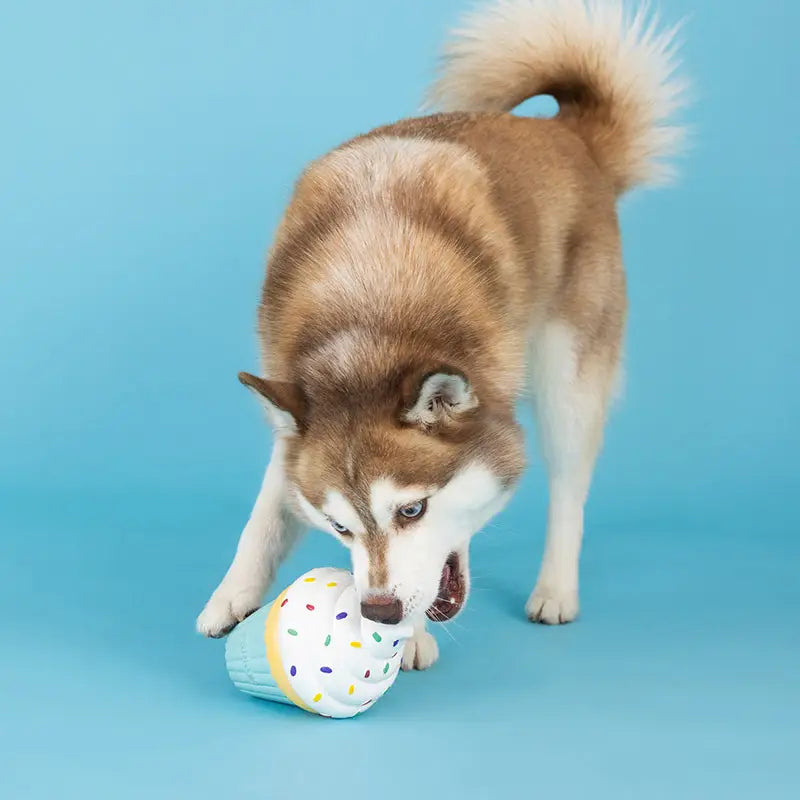 Jouet en Latex "Cupcake" pour Chiens