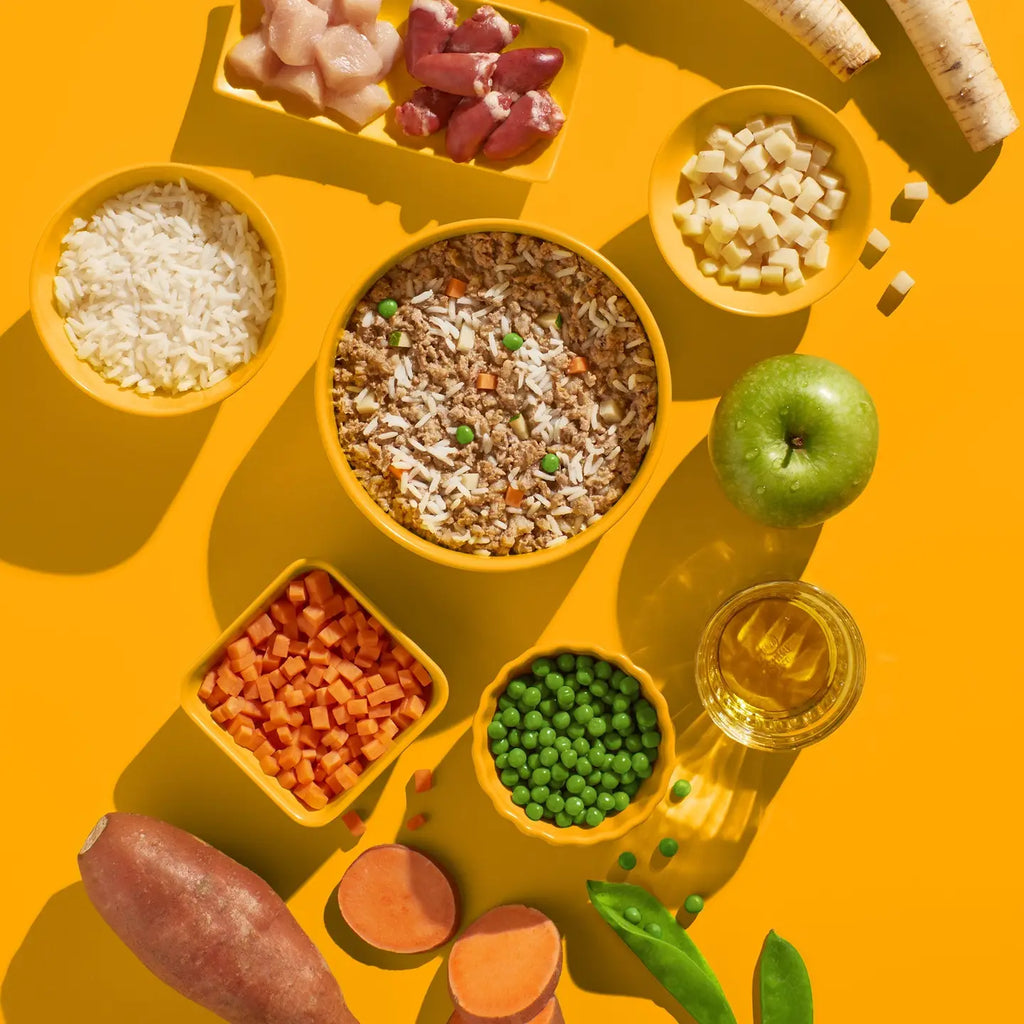 Poulet avec riz  (CHIOT)