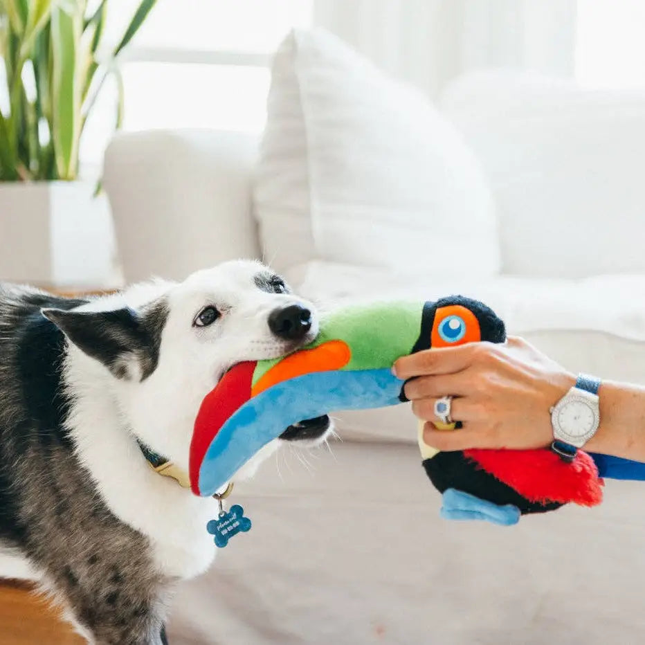 Peluche Tito le Toucan