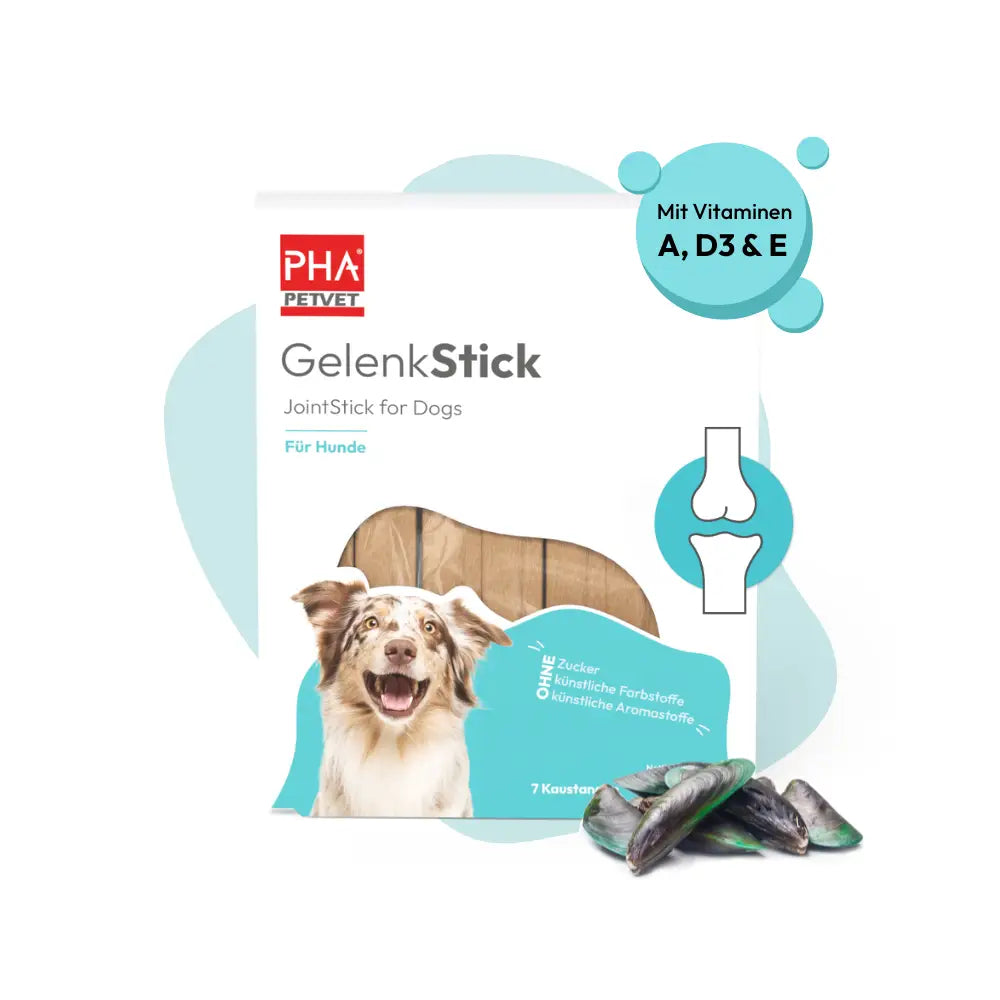Bâton pour articulations PHA pour chiens