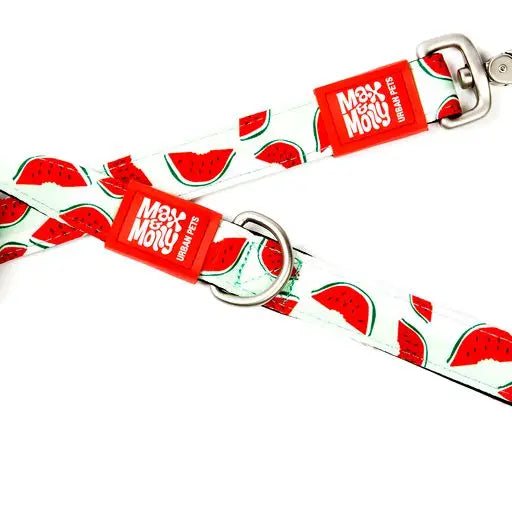 Laisse Max & Molly Pasteque