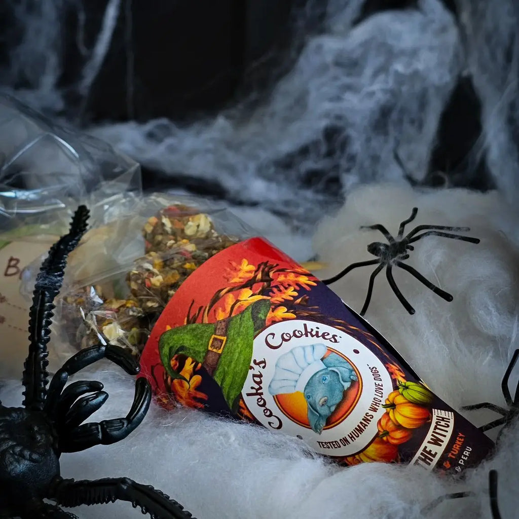 Halloween - Friandises à la dinde et à la citrouille Kiss the Witch