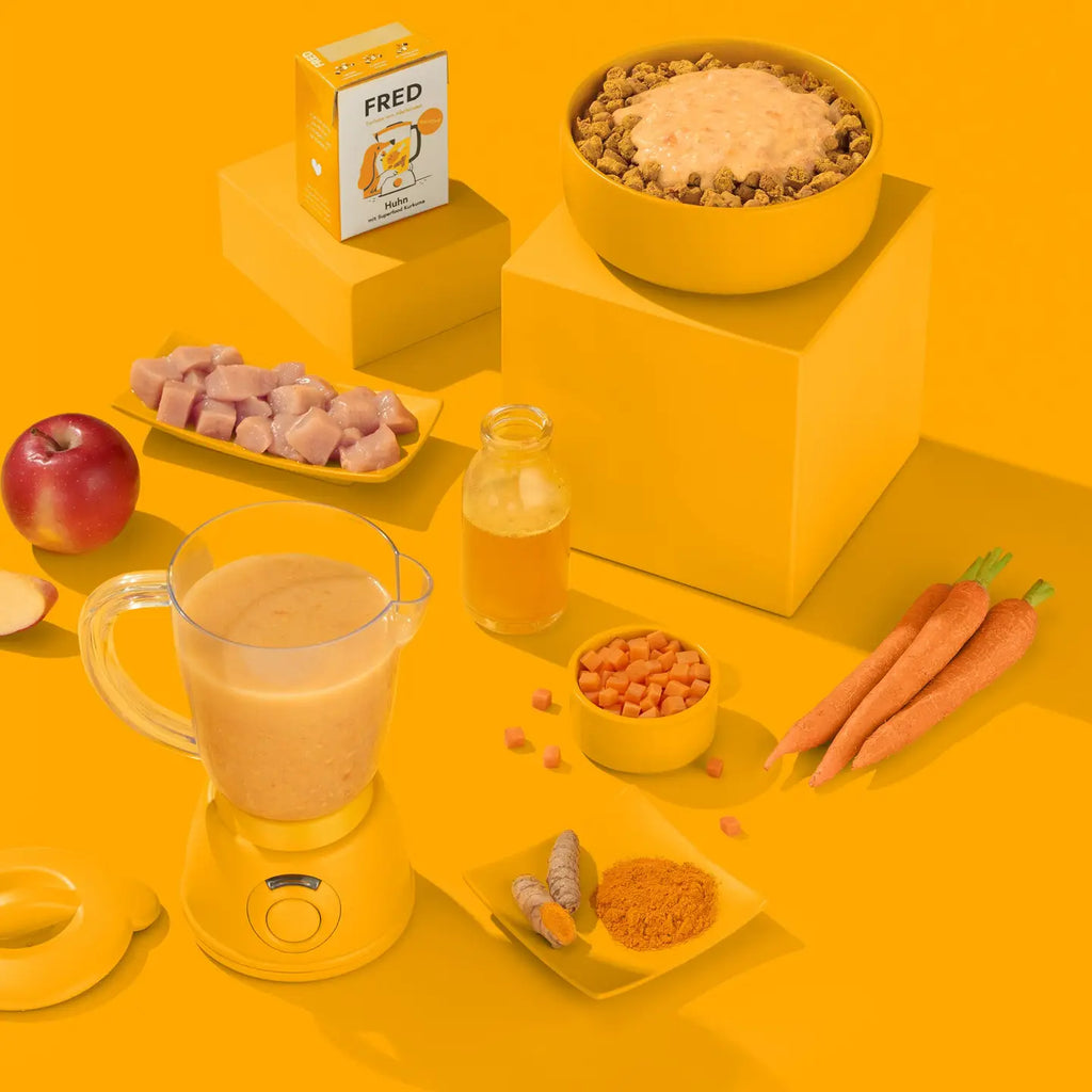 FRED Smoothie Poulet