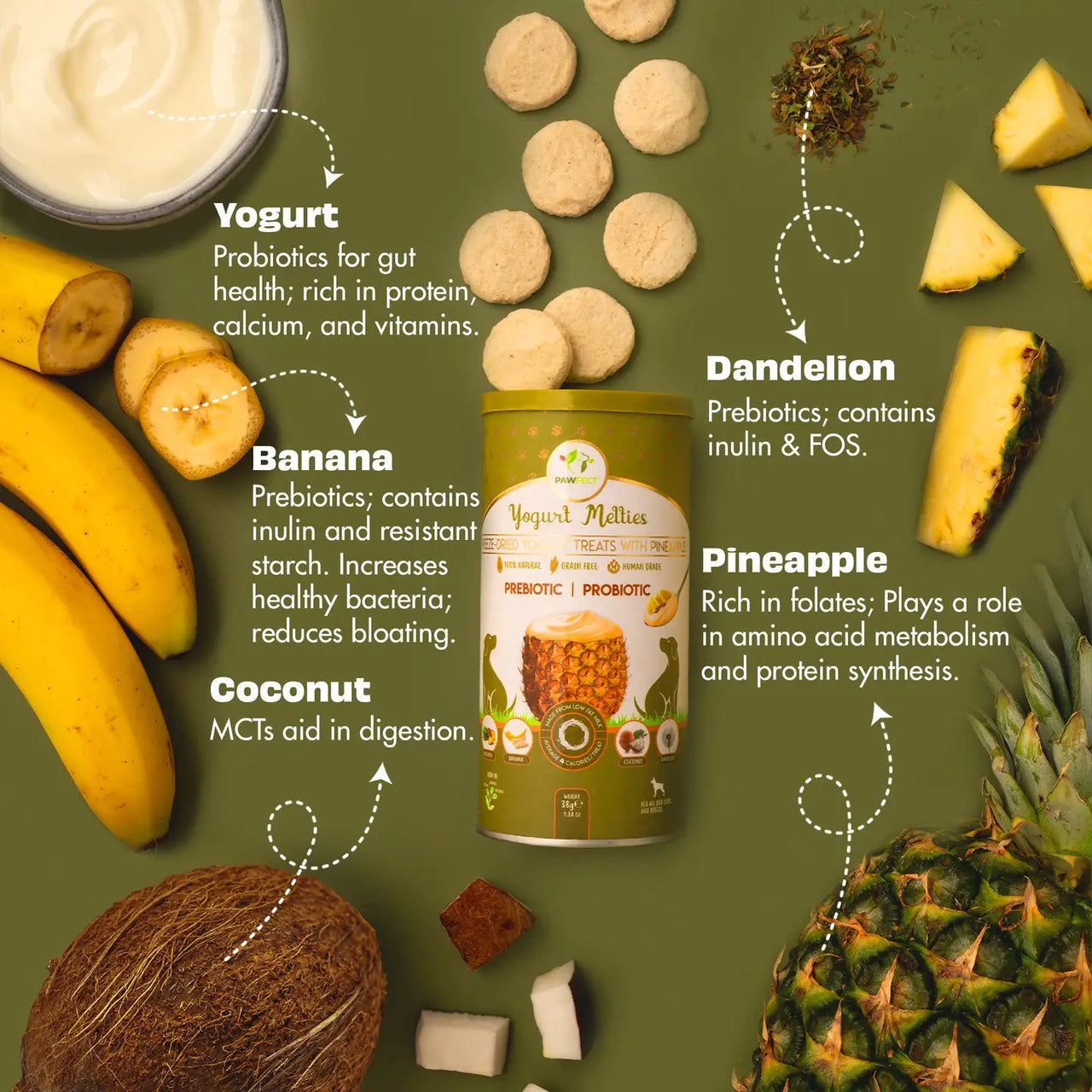 Friandises Yogurt Melties à l'ananas, noix de coco, banane, pissenlit 🍍🥥🍌🌼