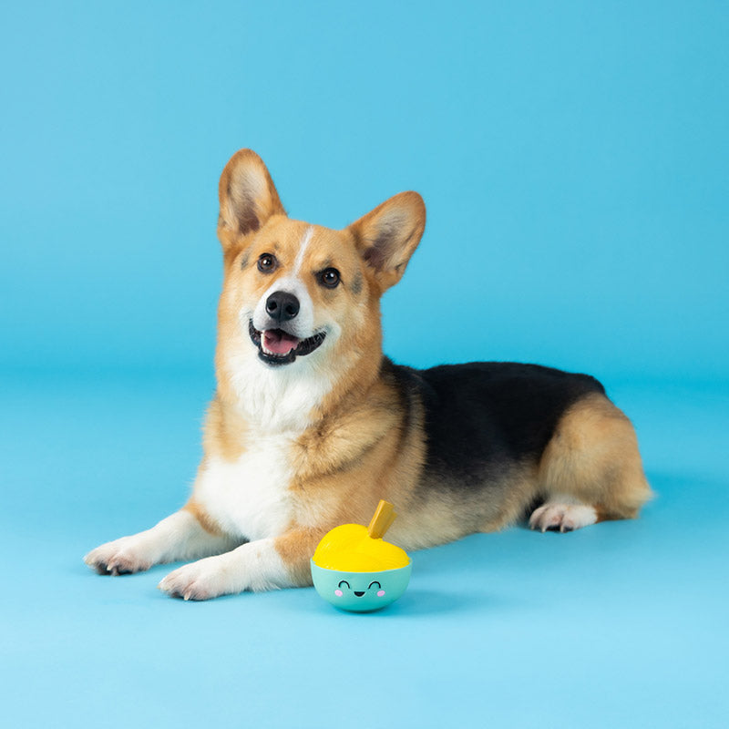 Jouet en Latex "Bol Gourmand" pour ChiensJouet en Latex "Bol Gourmand" pour Chiens