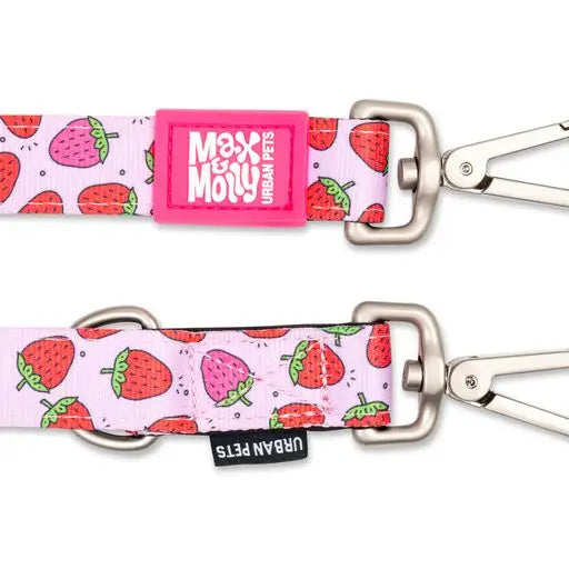 Laisse triple point Max & Molly Fraises