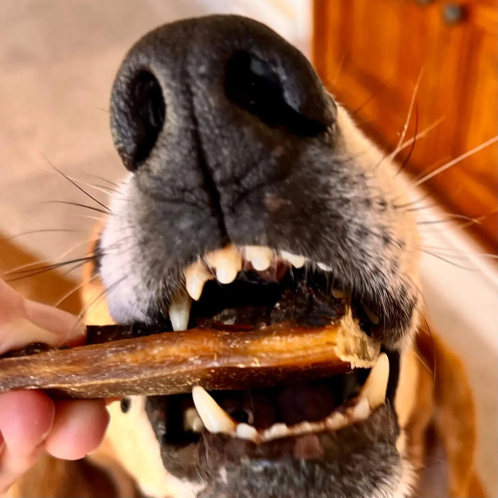 Spawghetti de porc - Friandises séchées à l'air pour chiens