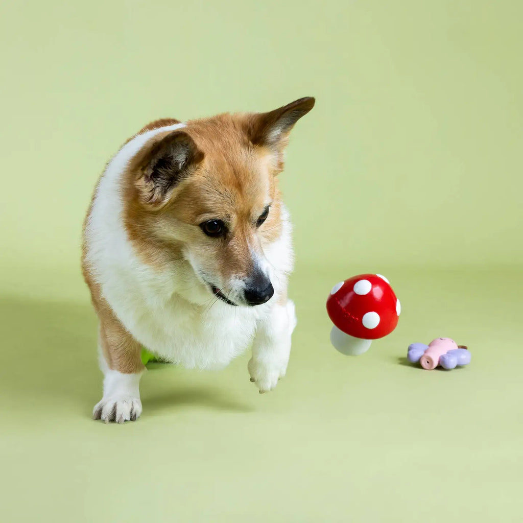 3PC Mini jouet pour chien nature en Latex 🍄🦋🐛