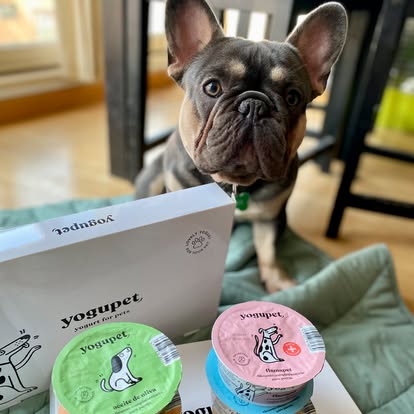 Yaourt pour chien - Huile d'olive