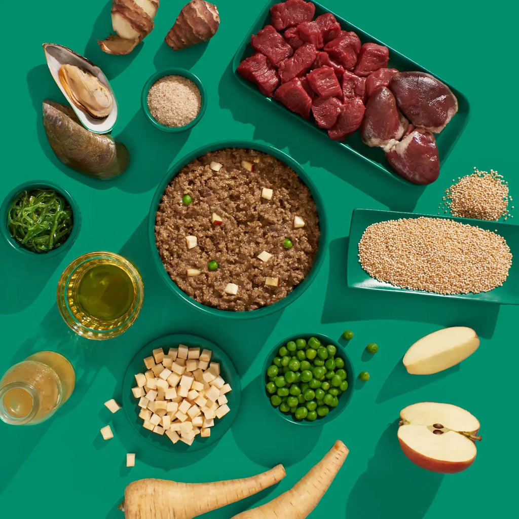 Cerf et Dinde (SENIOR)