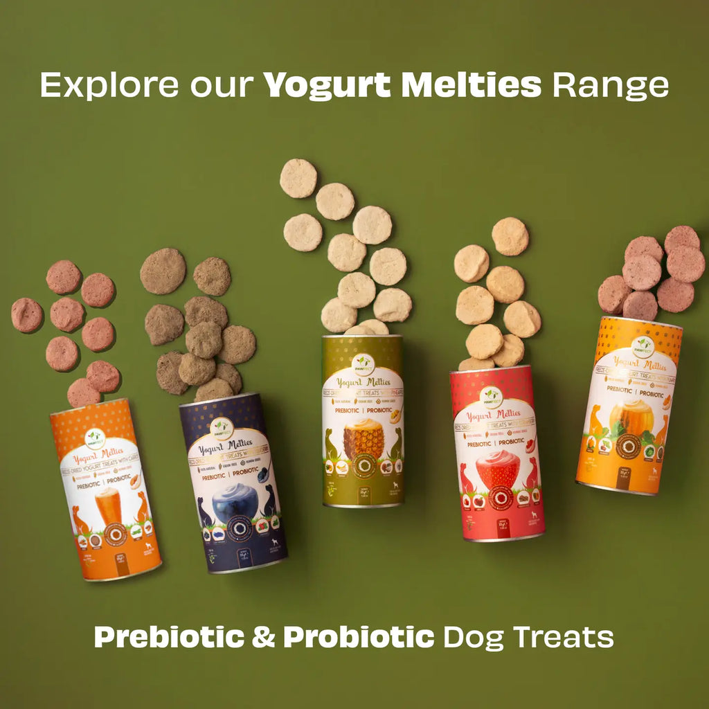Friandises Yogurt Melties avec Citrouille, Betterave, Chou & Graines de Fenoui 🎃🥬
