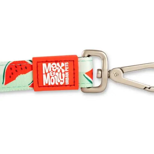 Laisse Max & Molly Pasteque