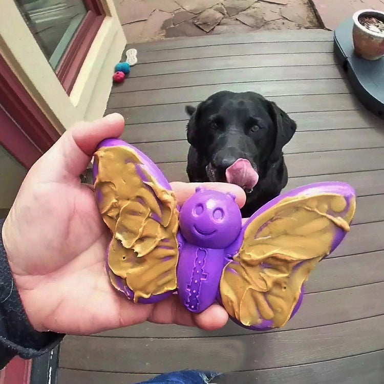 Jouet à mâcher et enrichir en nylon papillon