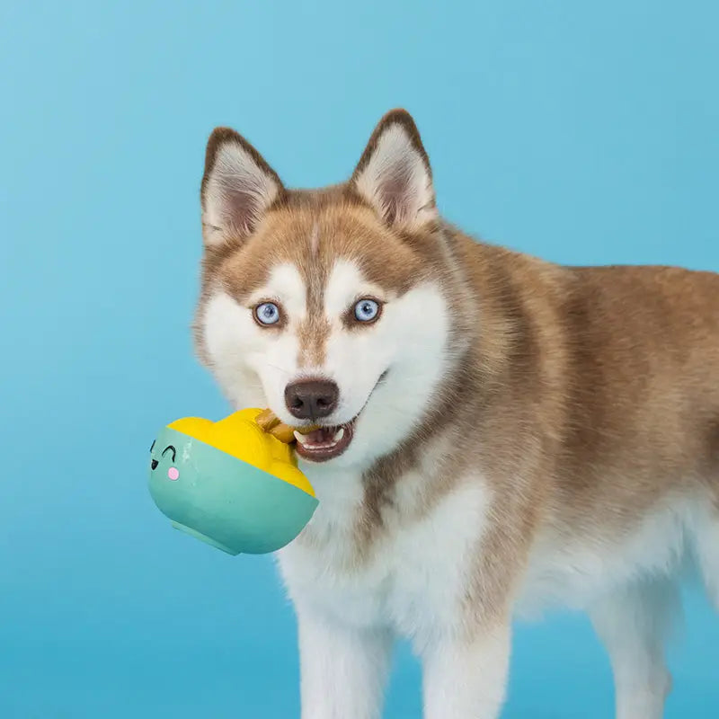 Jouet en Latex "Bol Gourmand" pour ChiensJouet en Latex "Bol Gourmand" pour Chiens