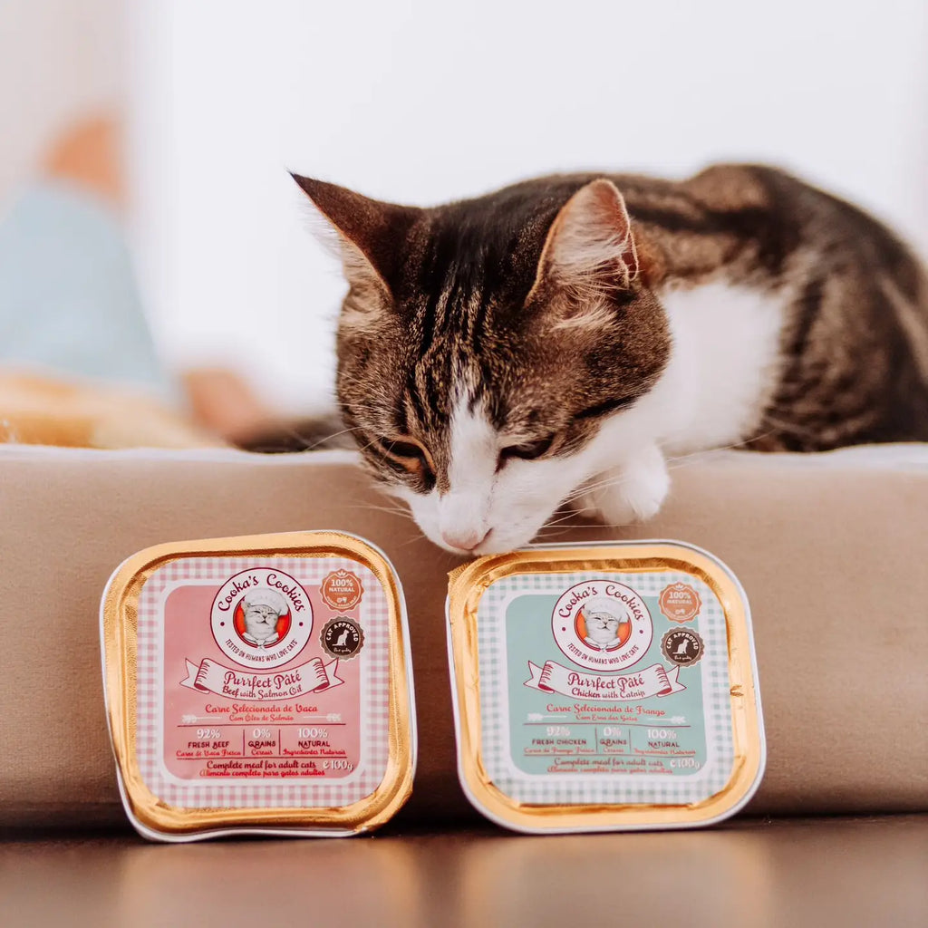 Nourriture humide pour chat