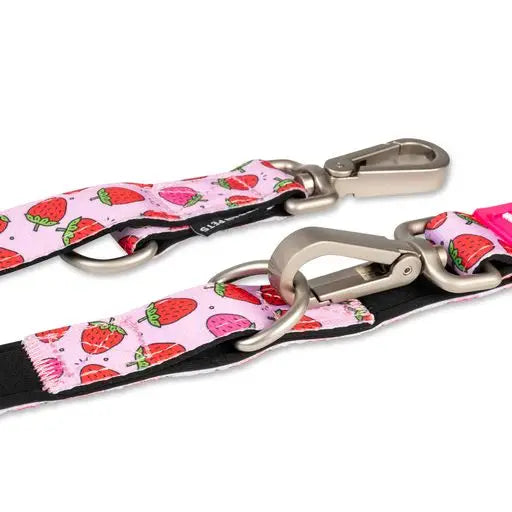 Laisse triple point Max & Molly Fraises