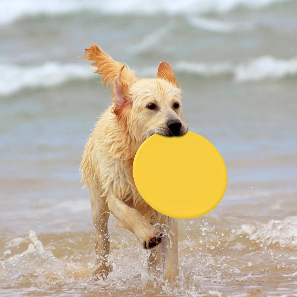 Frisbee Flexible Ø 18 CM