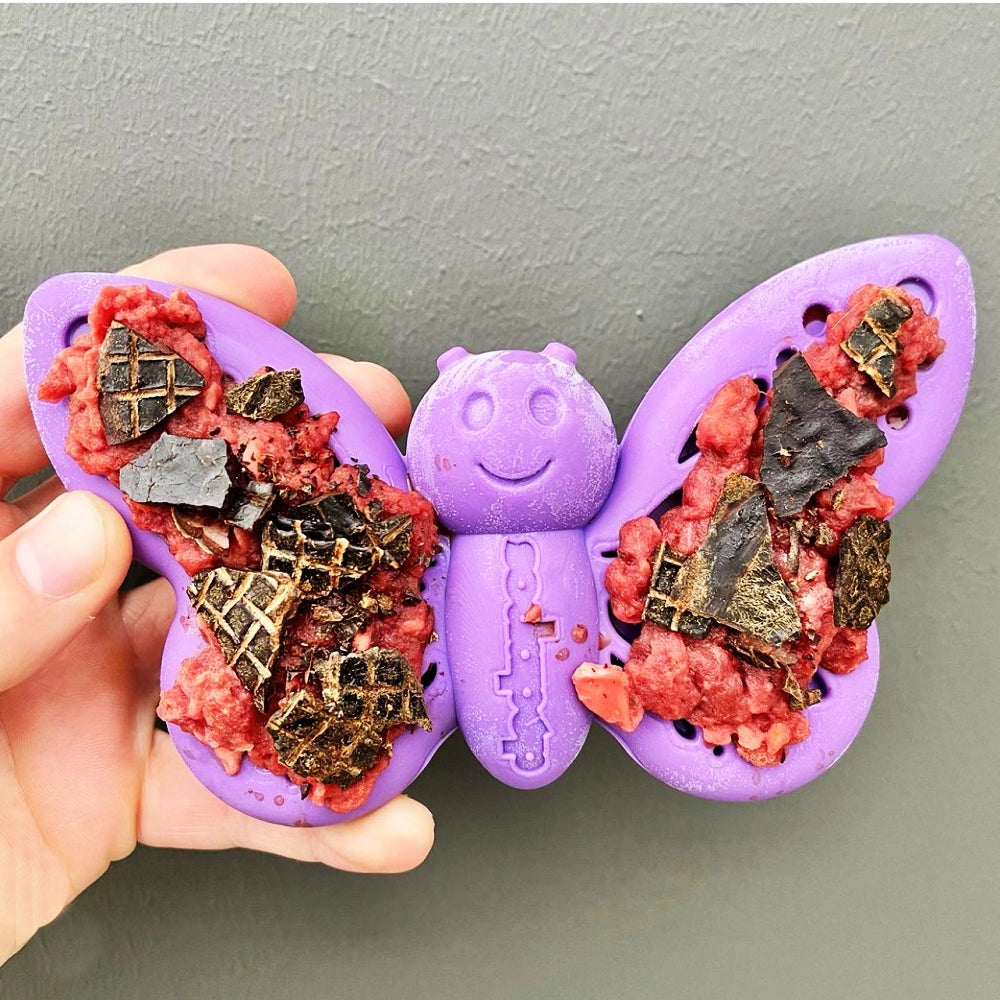 Jouet à mâcher et enrichir en nylon papillon
