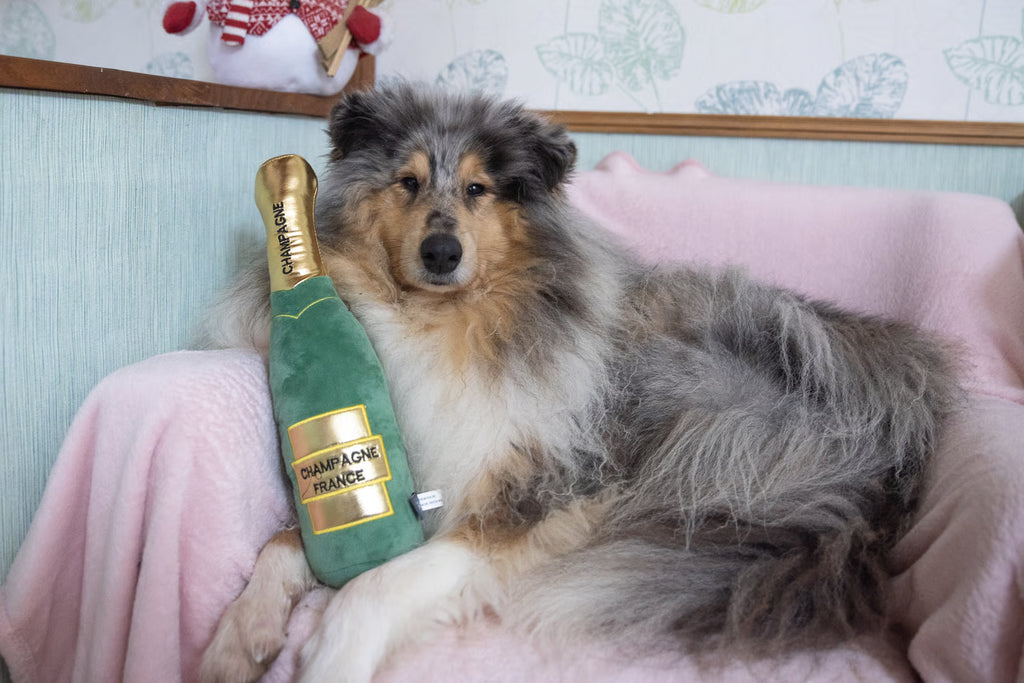 Peluche bouteille Champagne