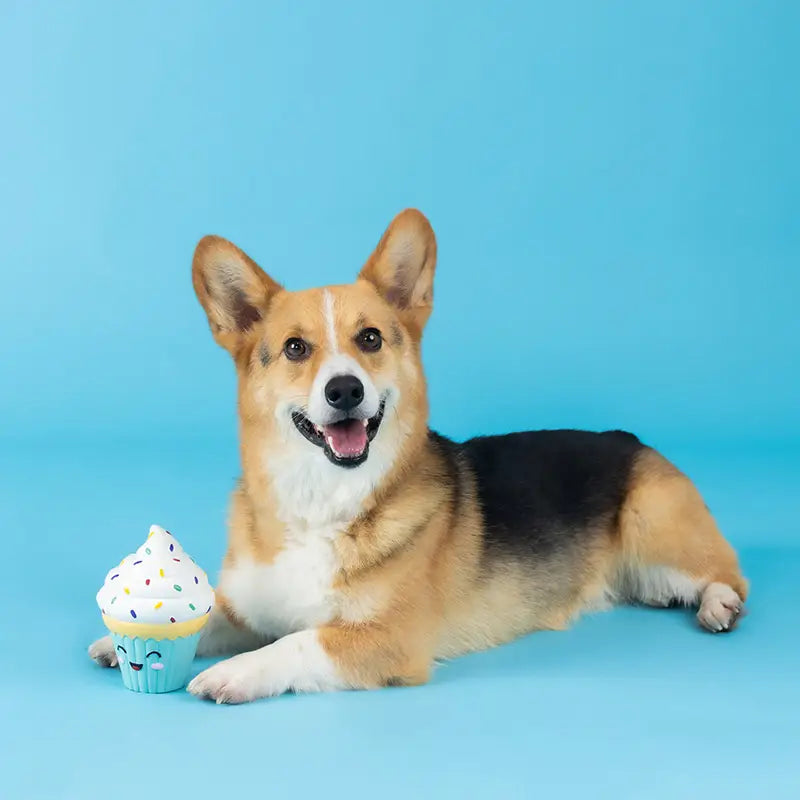Jouet en Latex "Cupcake" pour Chiens