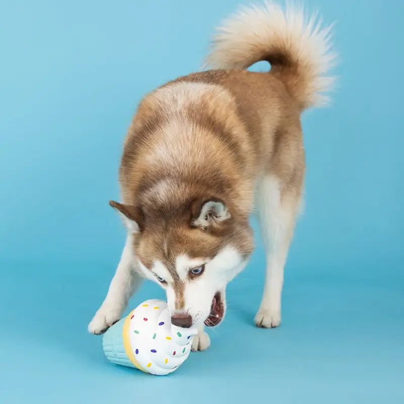 Jouet en Latex "Cupcake" pour Chiens