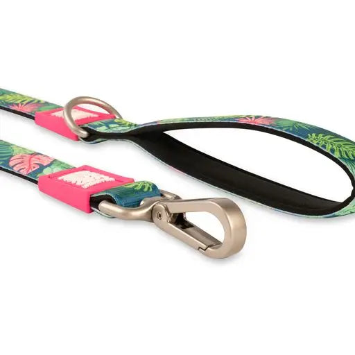 Laisse Max & Molly Tropical