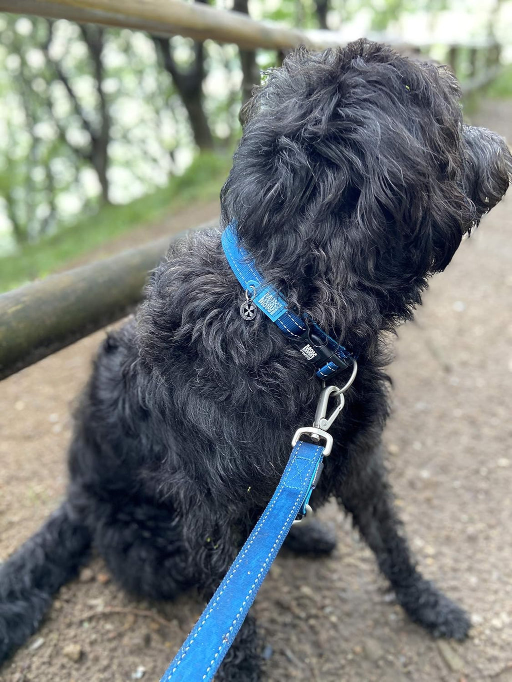 Collier Smart ID Bleu foncé de Max & Molly