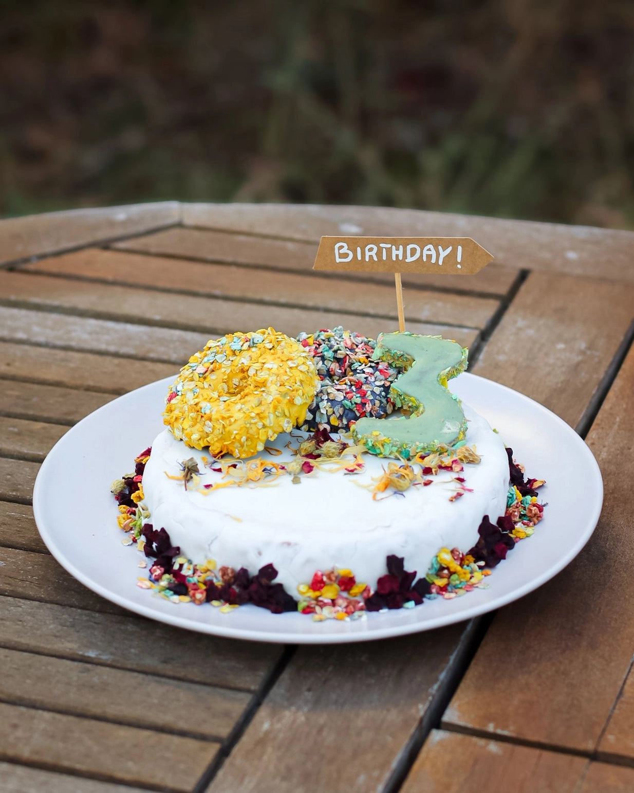 Gâteau en Boîte pour chiens poulet