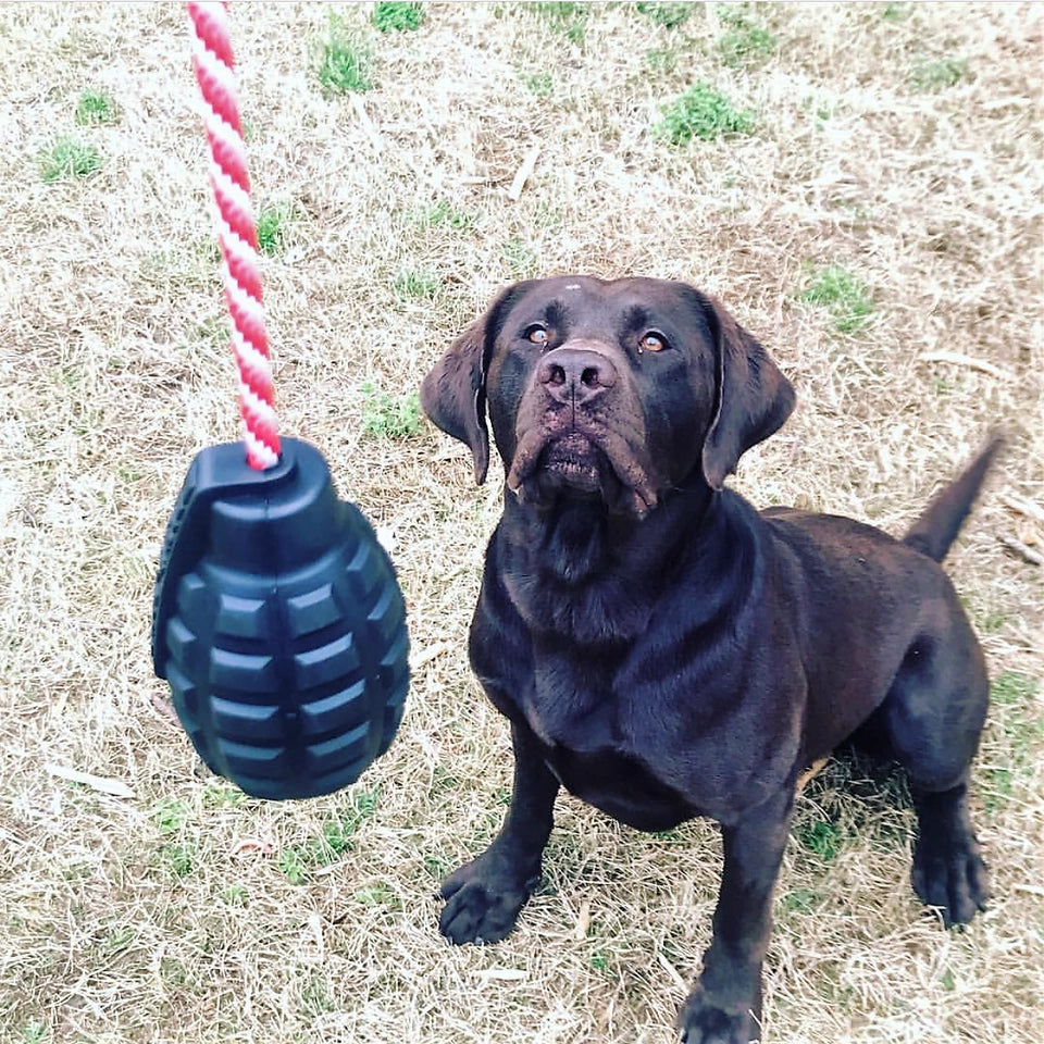 USA-K9 Magnum Grenade -Noir Le Jouet Résistant pour Chiens Énergiques