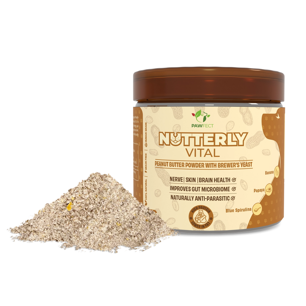 Poudre de Beurre de Cacahuète Nutterly Vital