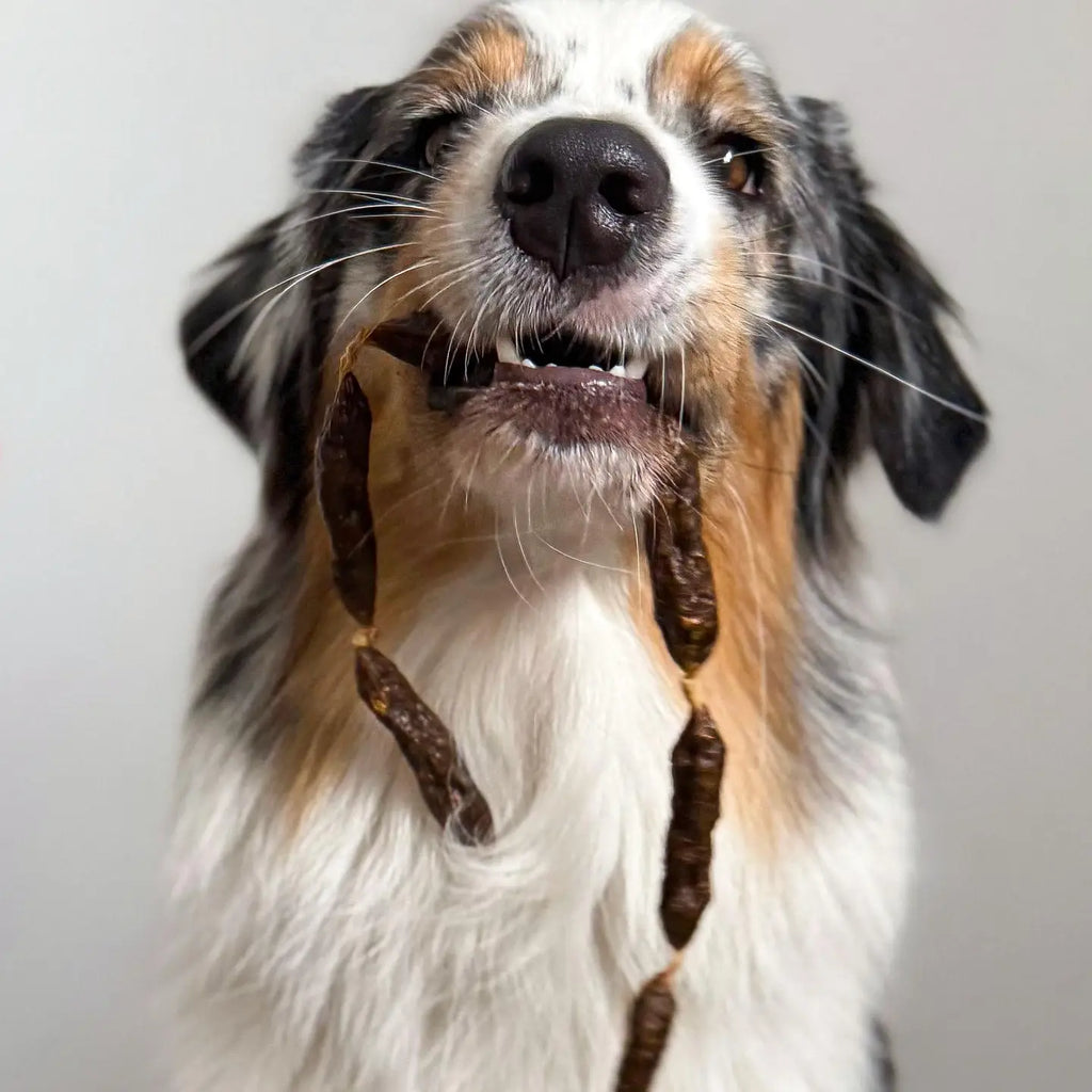 Saucissons de dinde