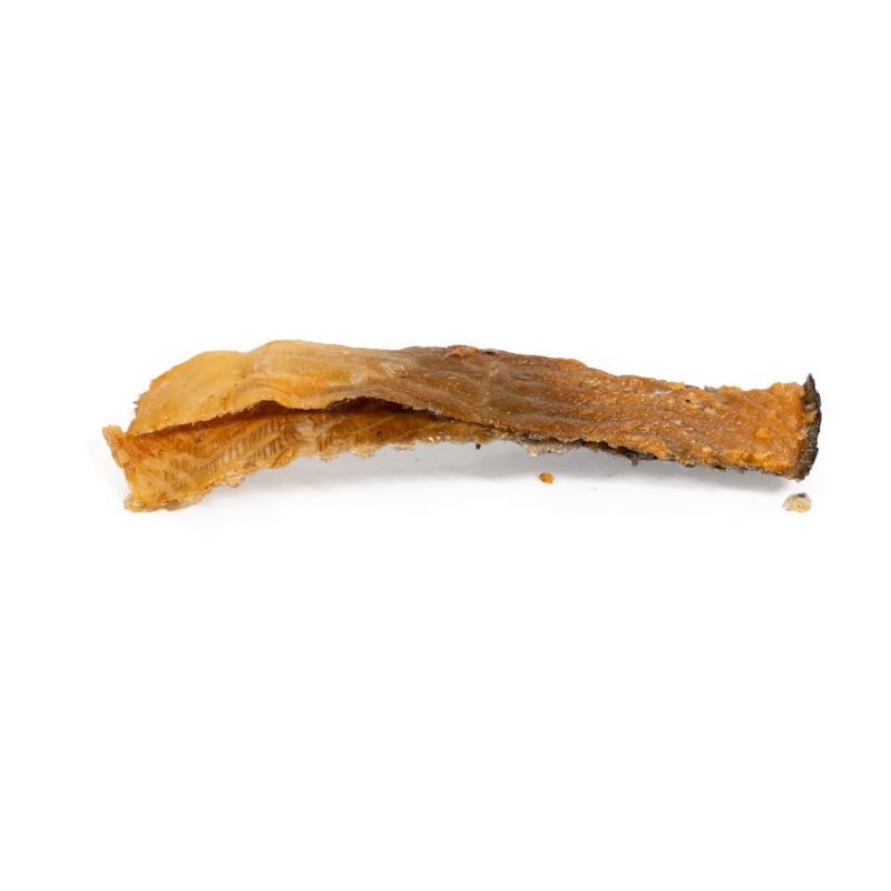 Peau de saumon avec chair