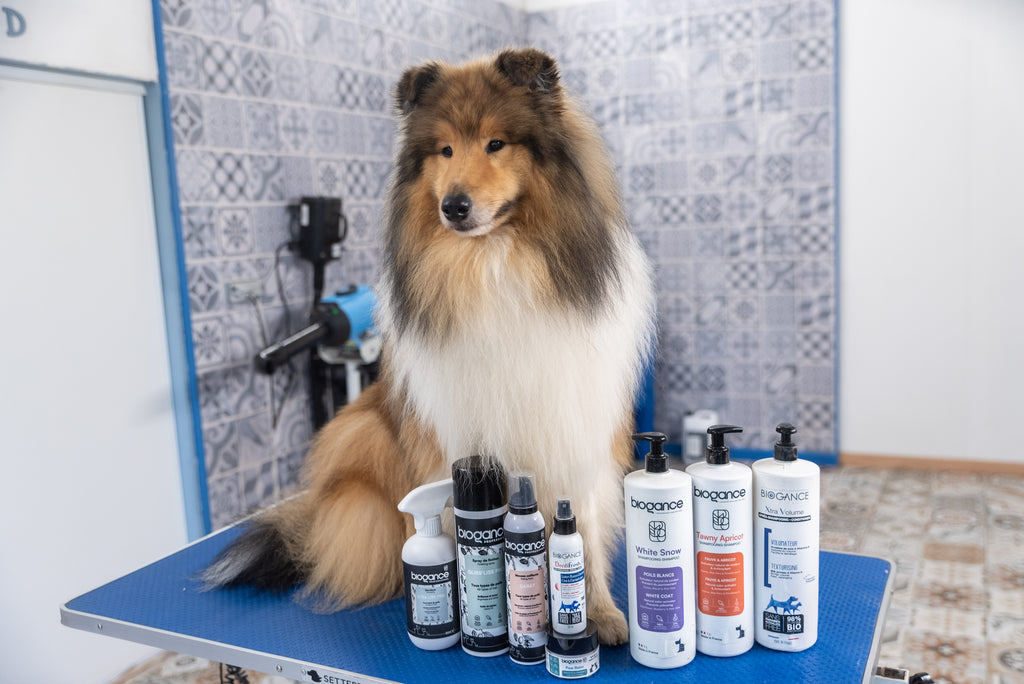 Démêlant Gliss’Liss