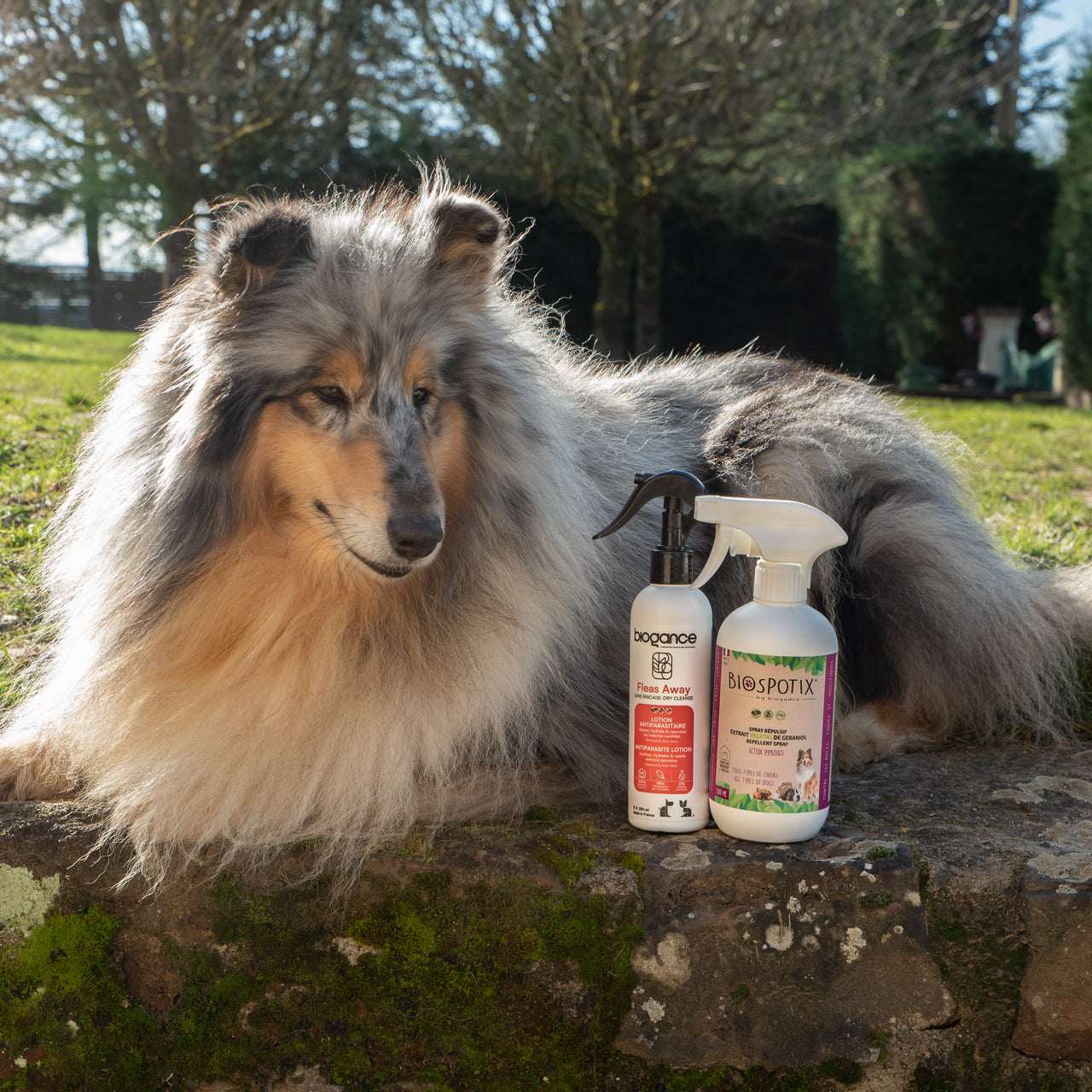 Lotion Antiparasitaire Fleas Away 250ml