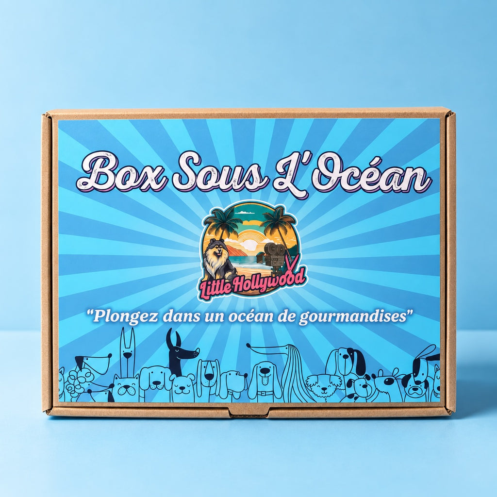 Box Sous L'océan