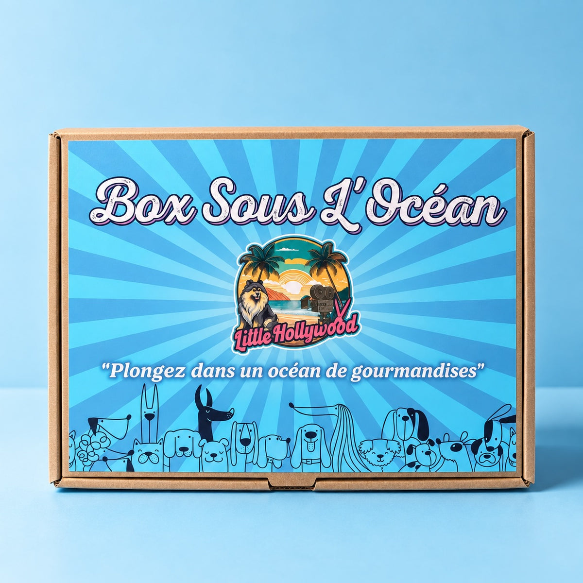 Box Sous L'océan
