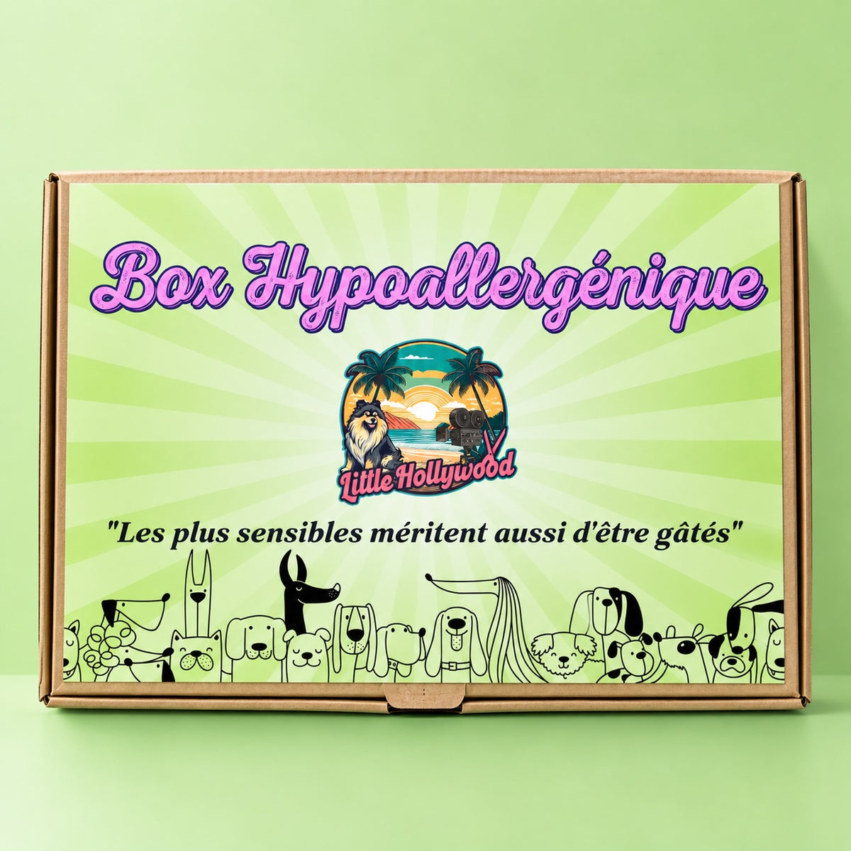 Box Hypoallergénique