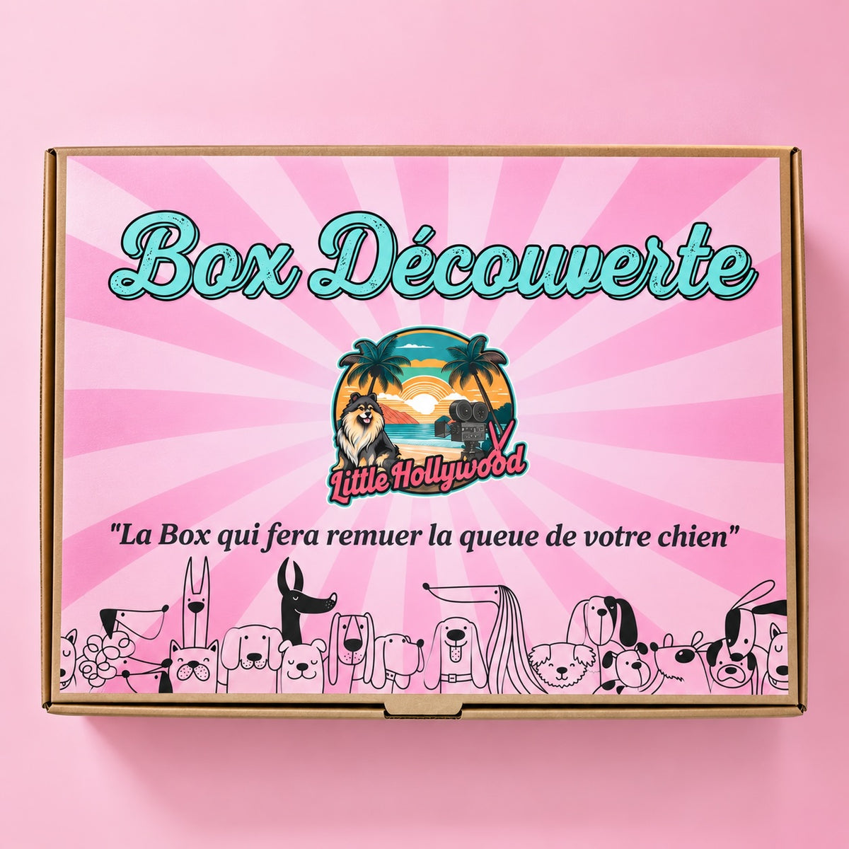 Box découverte 2.1
