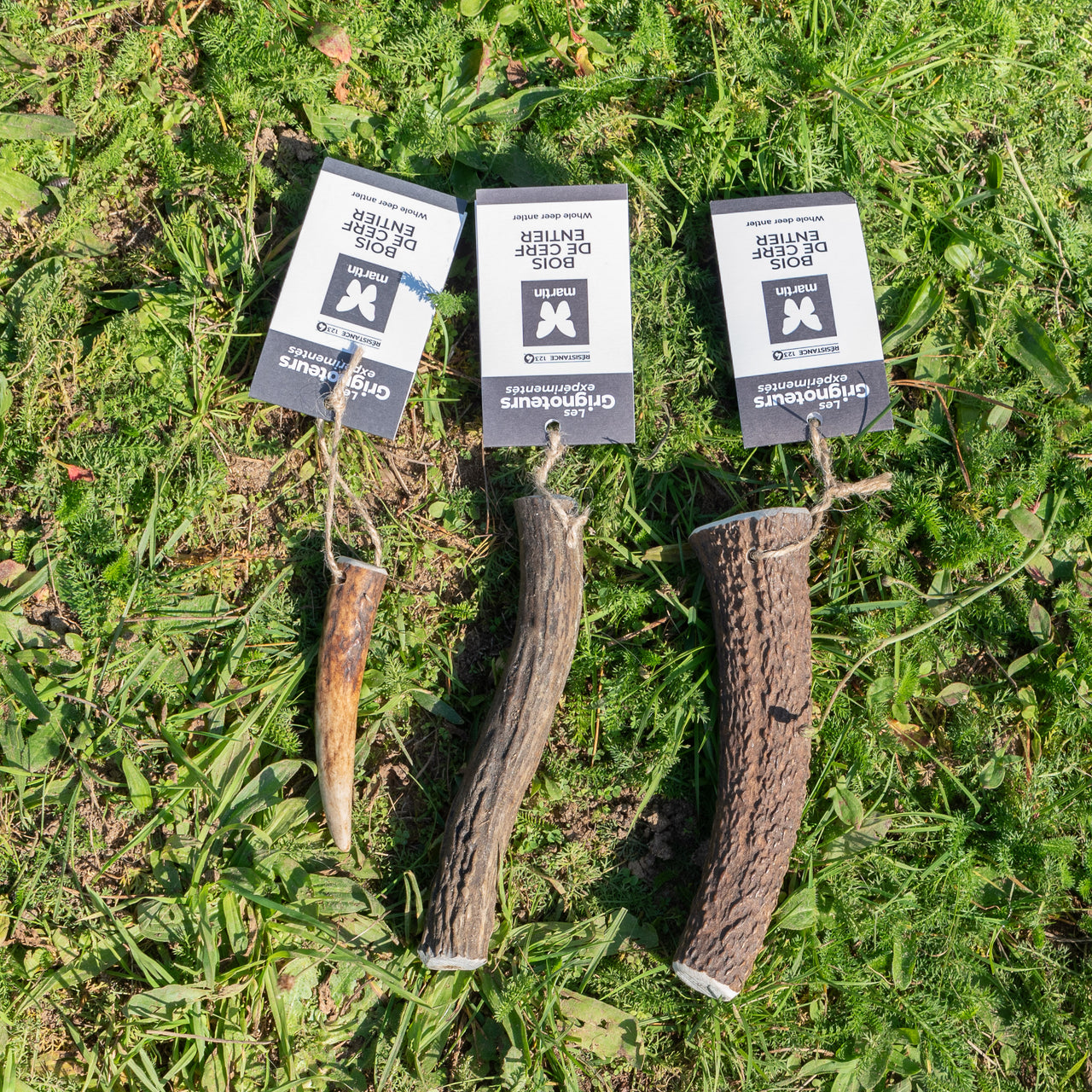 Bois de cerf entier pour chien